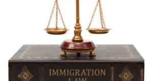 immigration-law