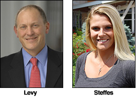 levy-steffes