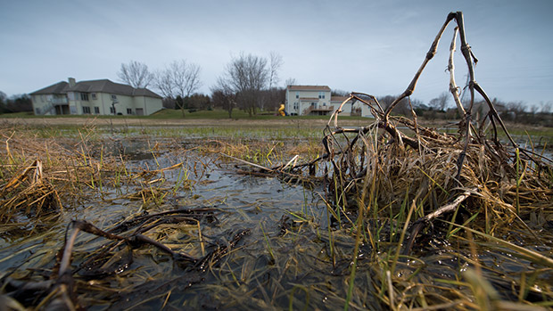 Flood water encroaches on the Ludwig residence (left) and the Antoniewski property (right) on March 29 in Big Bend. A few properties in the subdivision have been partially submerged due to a clogged drain pipe.