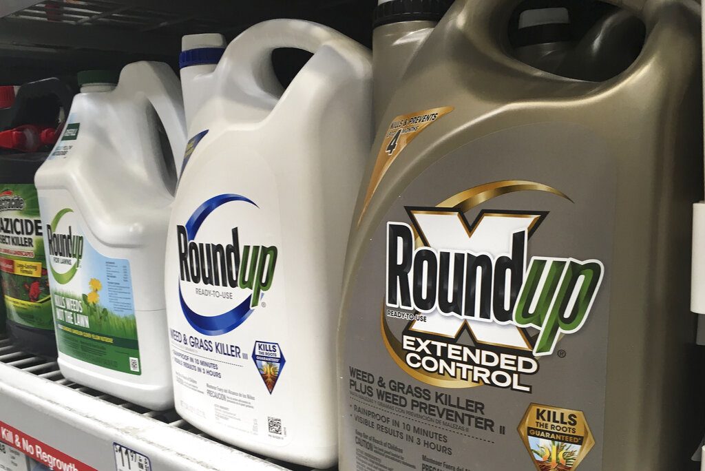 FILE - In this Feb. 24, 2019, file photo, containers of Roundup are displayed on a store shelf in San Francisco. A Northern California jury ordered agribusiness giant Monsanto Co. to pay a combined $2.05 billion to a couple who claimed the company's popular weed killer Roundup Ready caused their cancers. The Oakland jury on Monday, May 13, 2019, delivered Monsanto's third such loss in California since August. Alva and Alberta Pilliod claimed they used Roundup for more than 30 years to landscape. They were both diagnosed with non-Hodgkin's lymphoma. Monsanto owner Bayer said it would appeal. (AP Photo/Haven Daley, File)