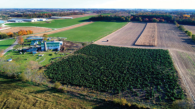 An aerial photo shows some of TFP Science’s 27 acres of hemp. Growers, businesses and lawyers say they still encounter stigmas surrounding the legitimacy of the hemp and cannabis industries. (Angela Major/The Janesville Gazette via AP)