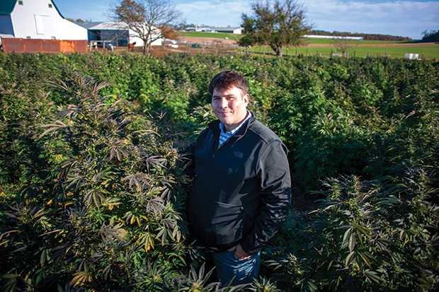 Jonathan Baker, owner of TFP Sciences, stands among hemp plants on land in rural Whitewater. TFP Sciences planted 27 acres of heavily regulated hemp this year — a crop that’s proving to be profitable but difficult for growers and the attorneys working with them. (Angela Major/The Janesville Gazette via AP)