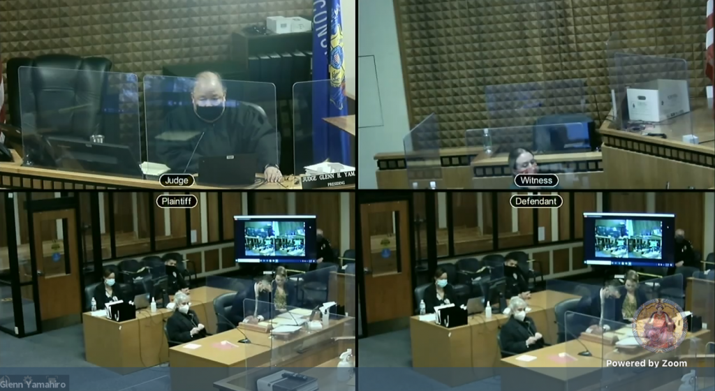 Stephanie Rapkin, pictured bottom right, appears for a motion hearing streamed live on Thursday.