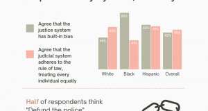 The American Bar Association's 2021 Civic Literacy Survey shows differing levels in the justice system