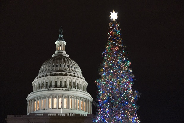 The 2021 U.S. Capitol Christmas Tree stands lit after a ceremony on the West Front Lawn of Capitol Hill in Washington on Wednesday. (AP Photo/Manuel Balce Ceneta)