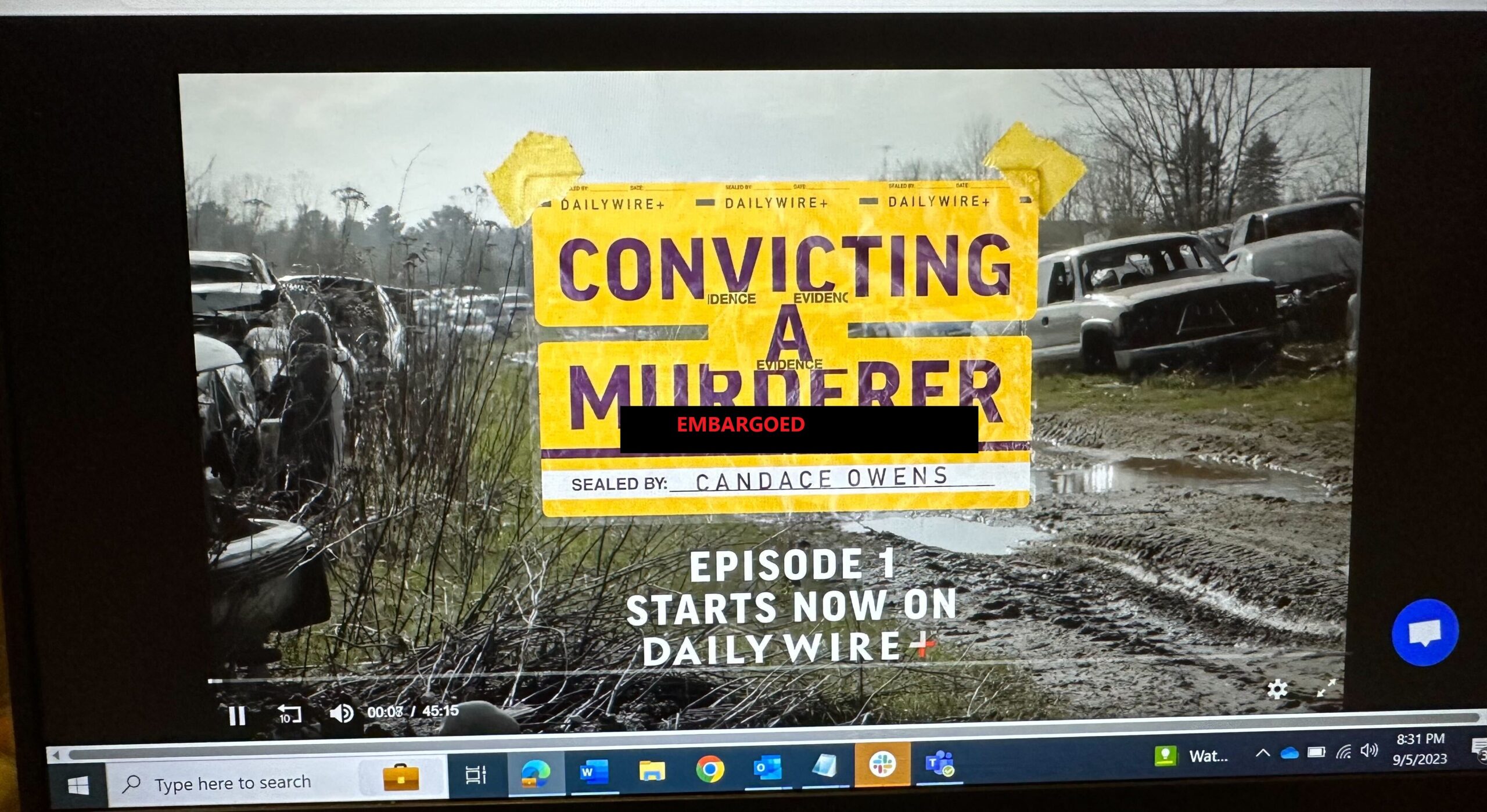 Is Steven Avery Directing Supporters To Tank Candace Owens' 'Convicting A  Murderer' Review Score?